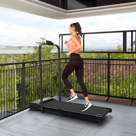 Desktop 2-1 TreadMill