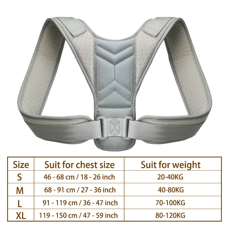 Back Posture Belt