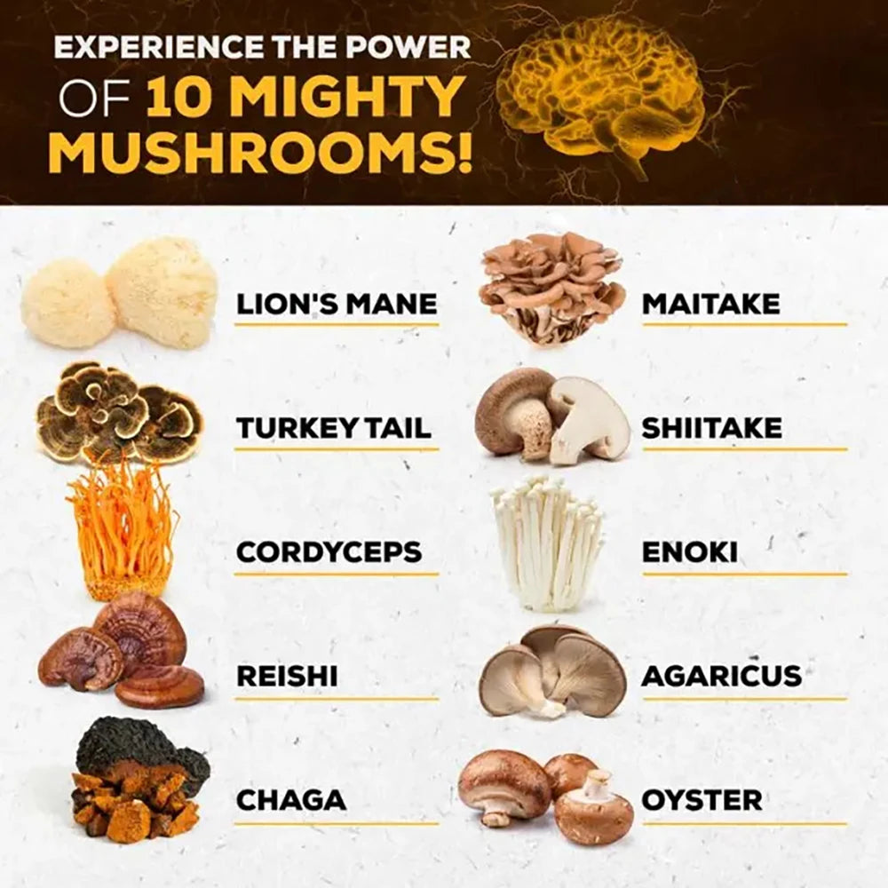 Mighty Mushroom Supplement
